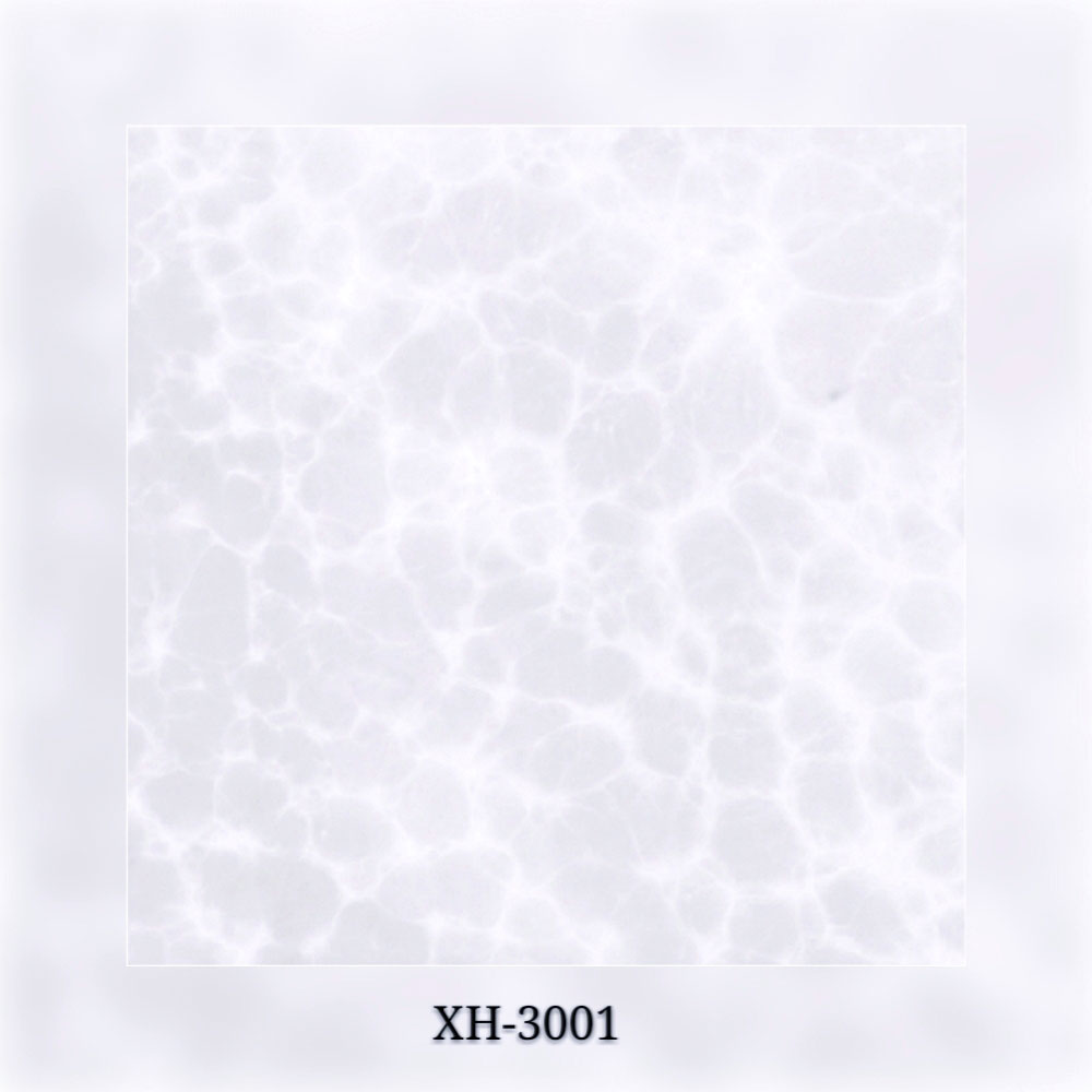 XH-3001