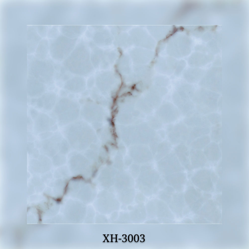XH-3003